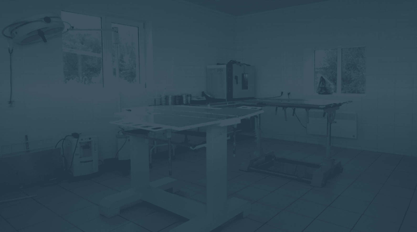 Veterinary Office Cleaning - commercial cleaning service