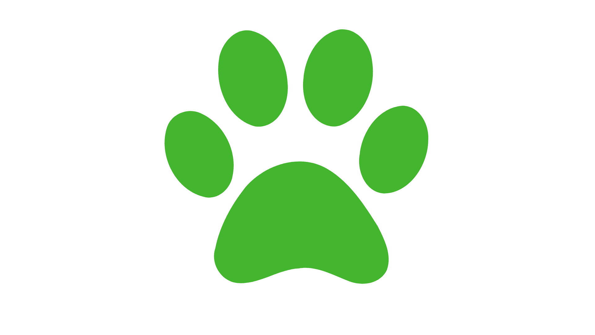 Veterinarians cleaning